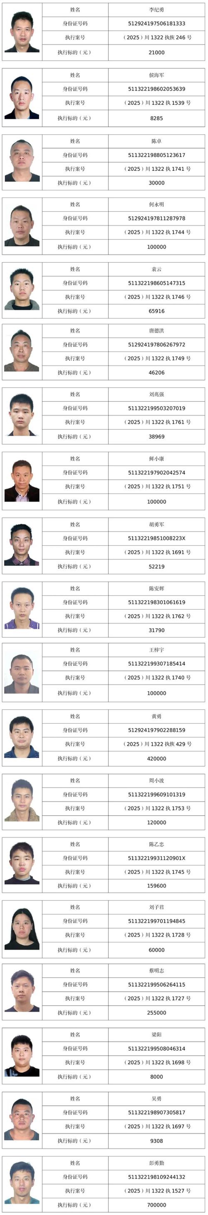 轻松查询失信被执行人信息的技巧